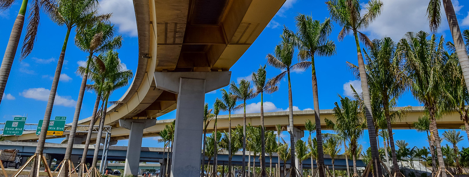 bridge-and-palm-trees